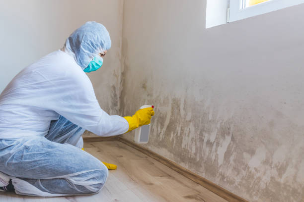 Bathroom Mold Removal assessment in Wernersville bathroom