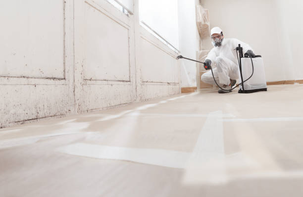 Black mold remediation team in Wernersville